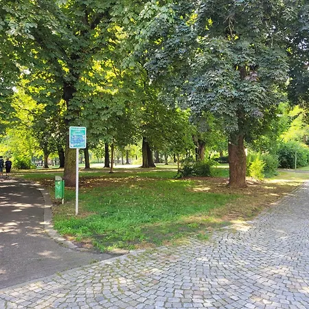 Schlosschemnitz No 42 Bergstr Kuehl Im Sommer *