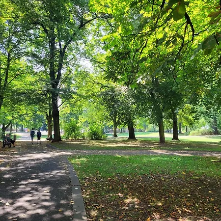 Lejlighed Schlosschemnitz No 42 Bergstr Kuehl Im Sommer *