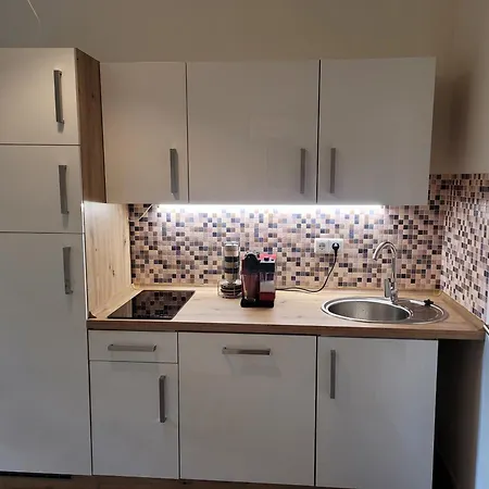 Lejlighed Schlosschemnitz No 42 Bergstr Kuehl Im Sommer Chemnitz